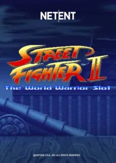 Street Fighter II: The World Warrior