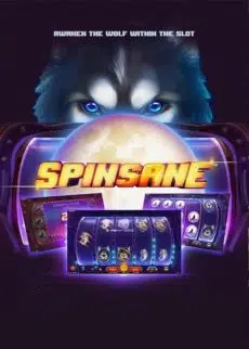 Spinsane