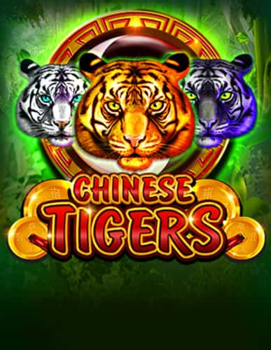 Chinese Tigers