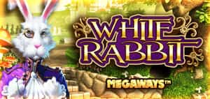 White Rabbit