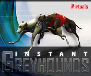 Instant Greyhounds