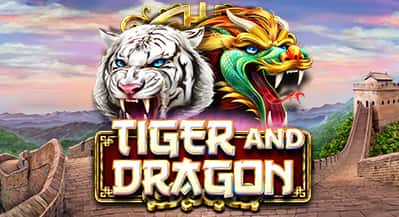 Tiger and Dragon