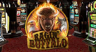 Ragin´ buffalo