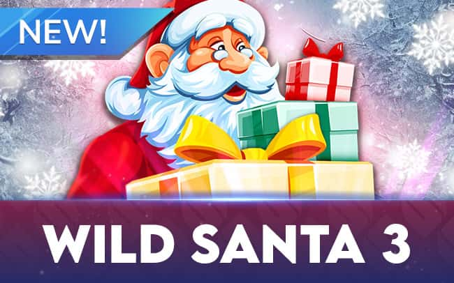 Wild Santa 3