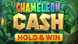 Chameleon Cash