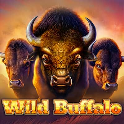 Wild Buffalo