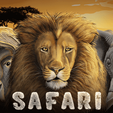 Safari