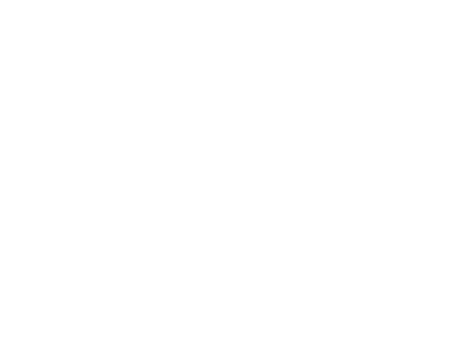 DJ Wïld