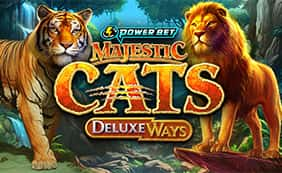 Majestic Cats DeluxeWays