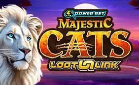 Majestic Cats Loot Link