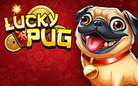 Lucky Pug