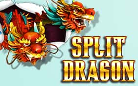 Split Dragon